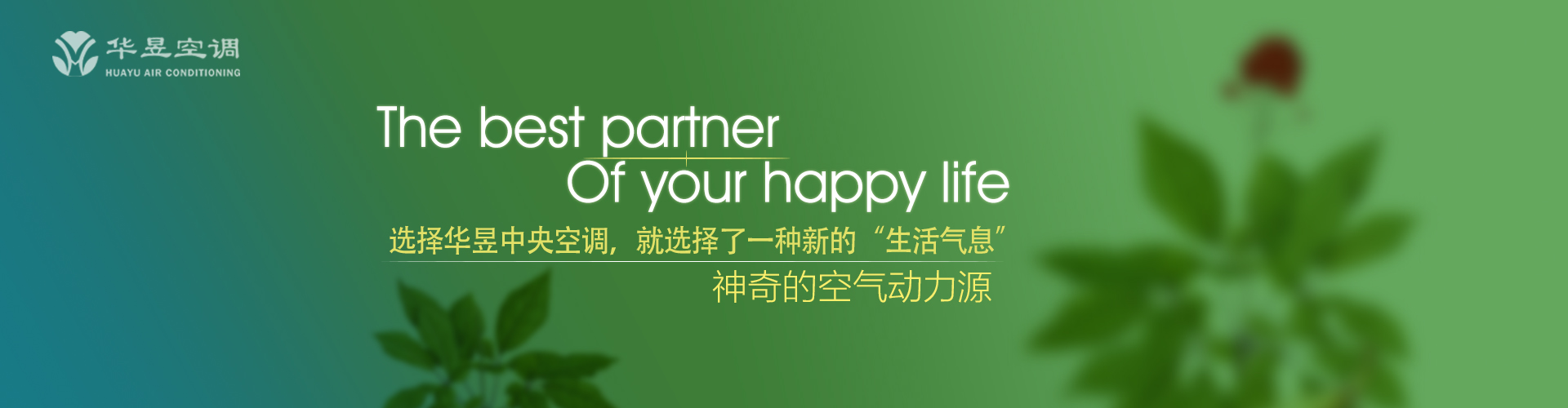 千状万态网